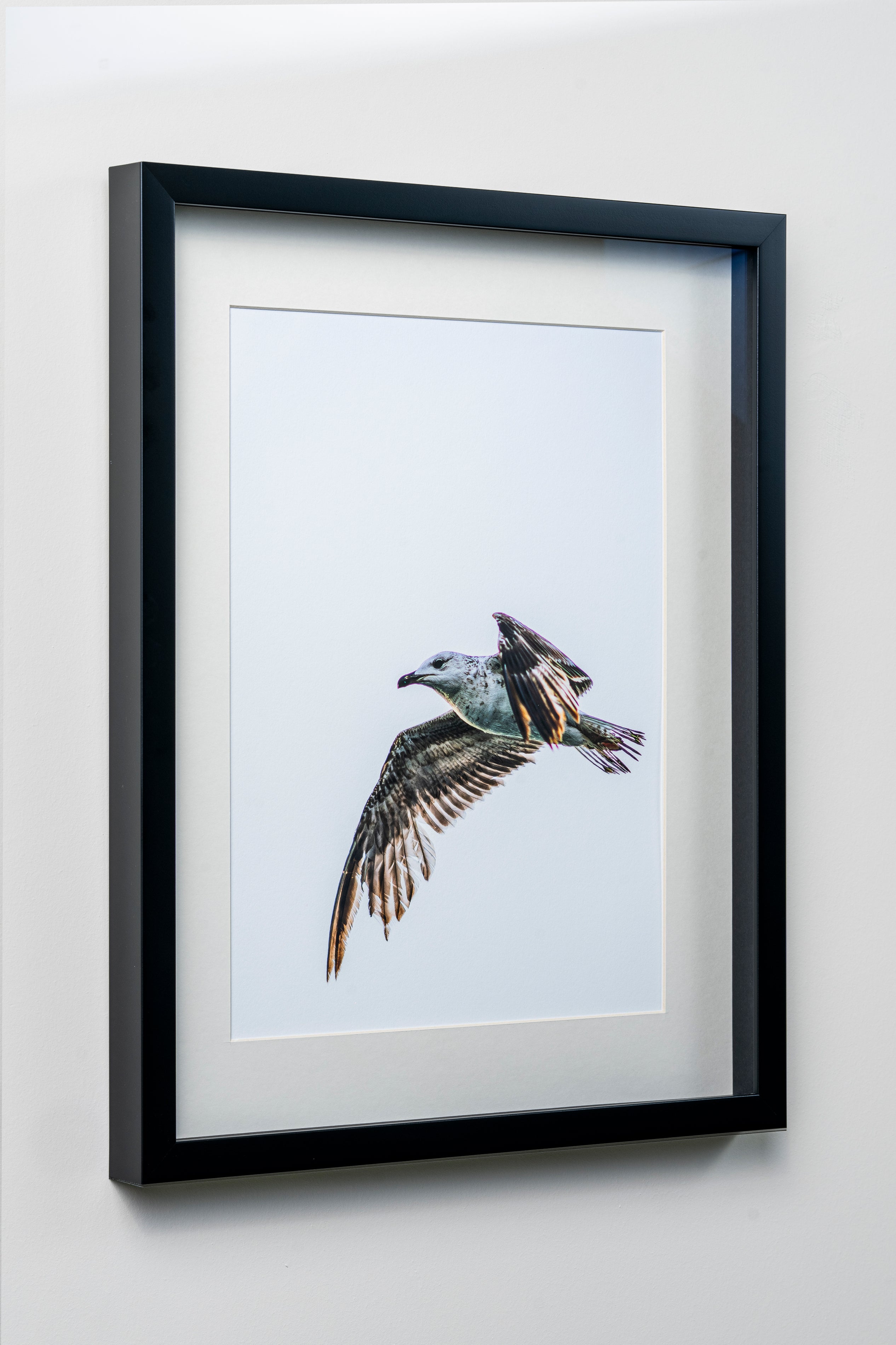 KERİM ARSLAN | Martı | Seagull