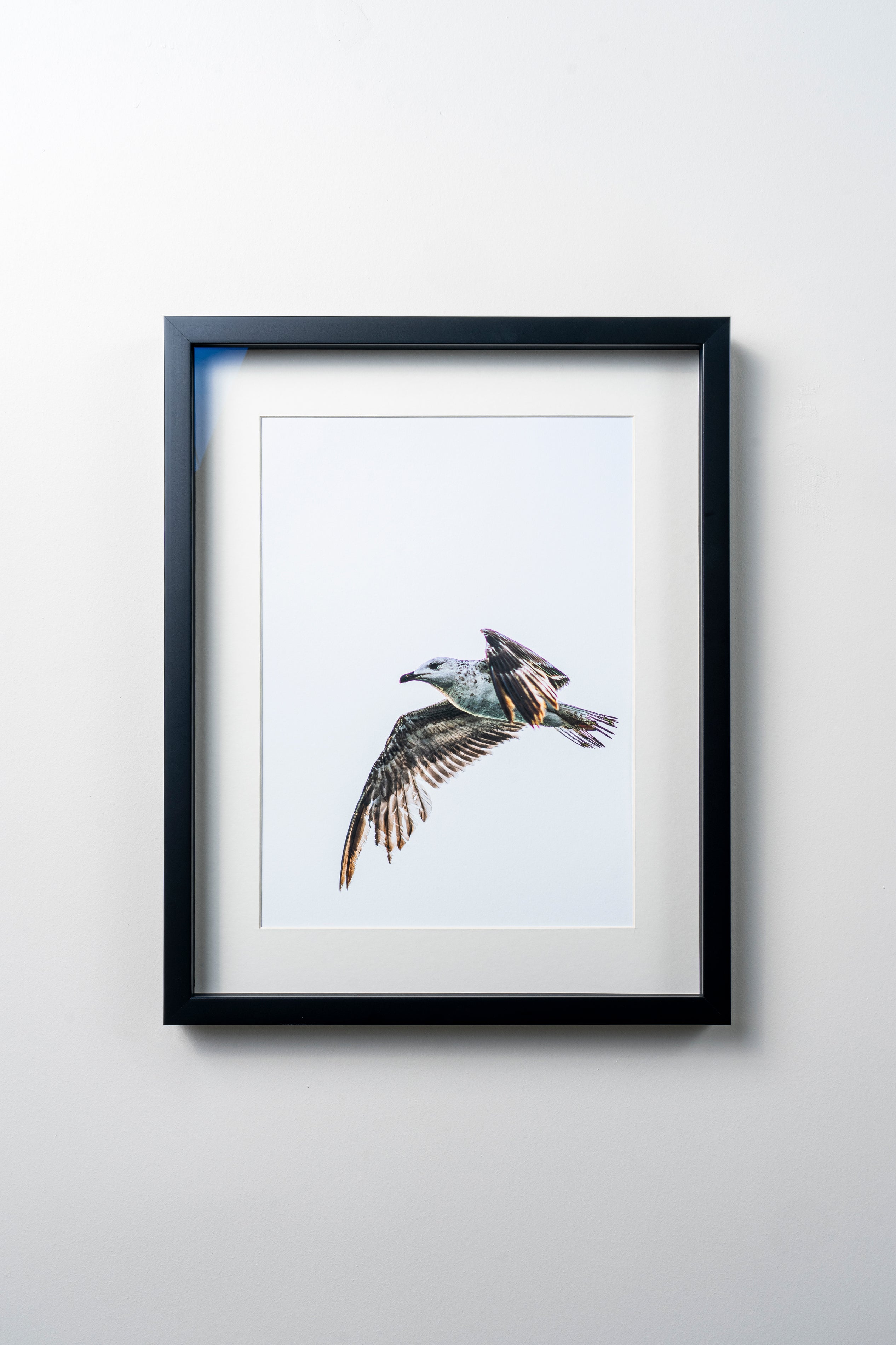 KERİM ARSLAN | Martı | Seagull