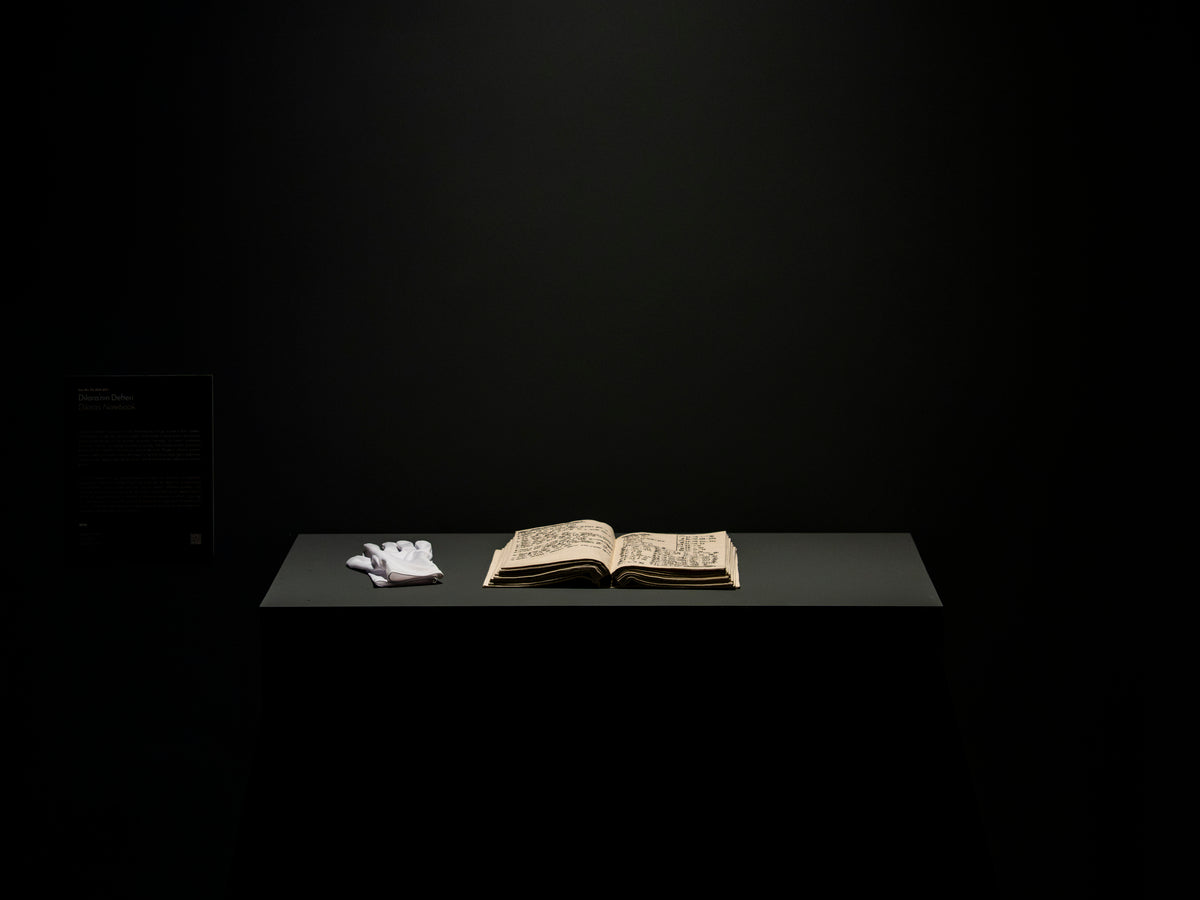 Dilara Altınkepçe Arslan Dilara'nın Defteri / Dilara’s Notebook