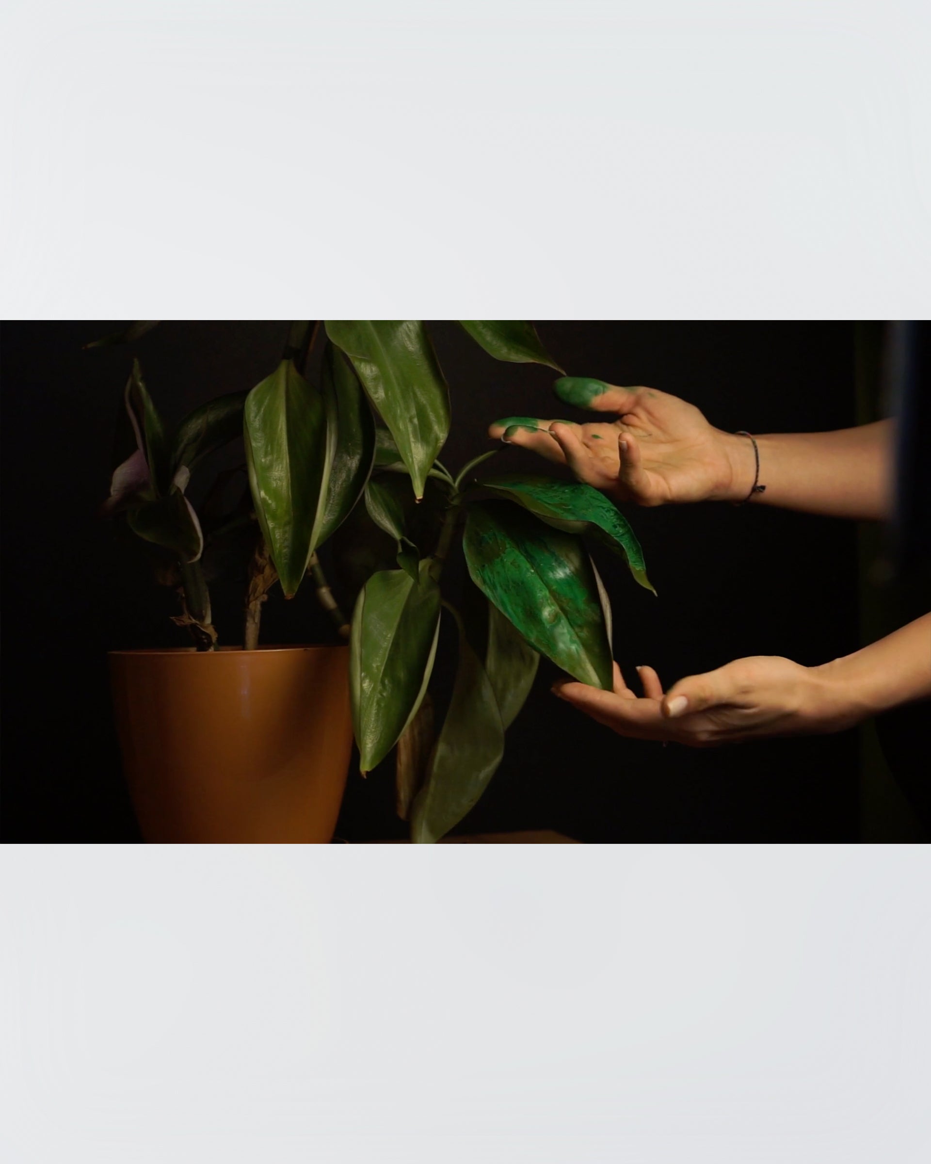 Güliz Kayahan - Ab-ı Hayat