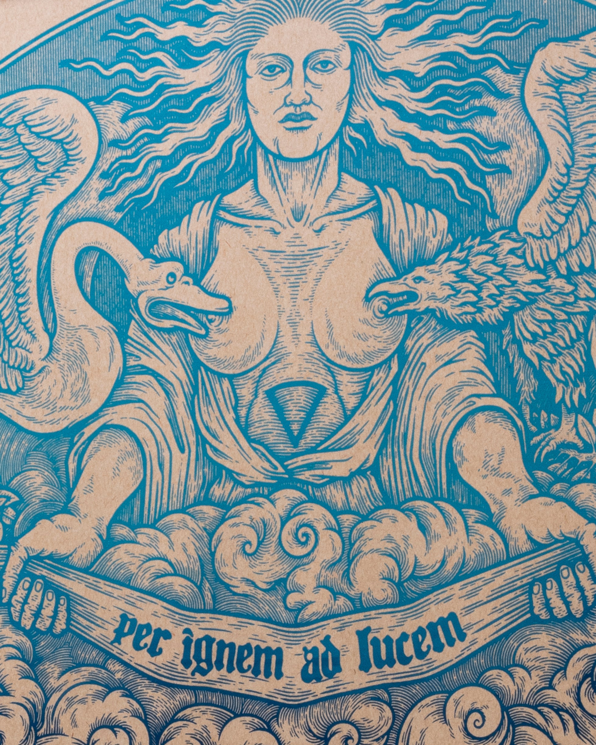 Hürkan Alcan  Circum, 2022
