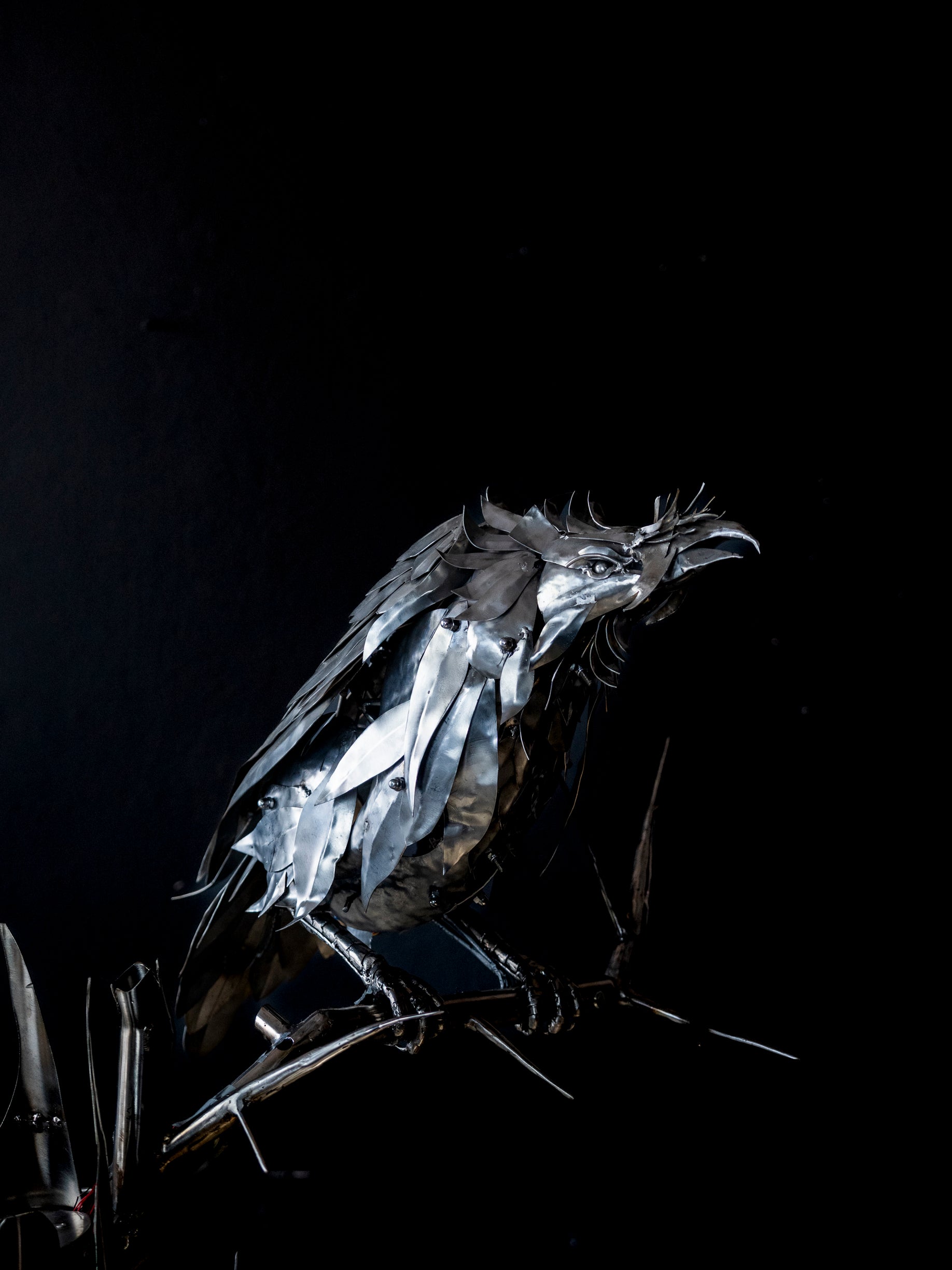 Arif Çekderi | Nevermore