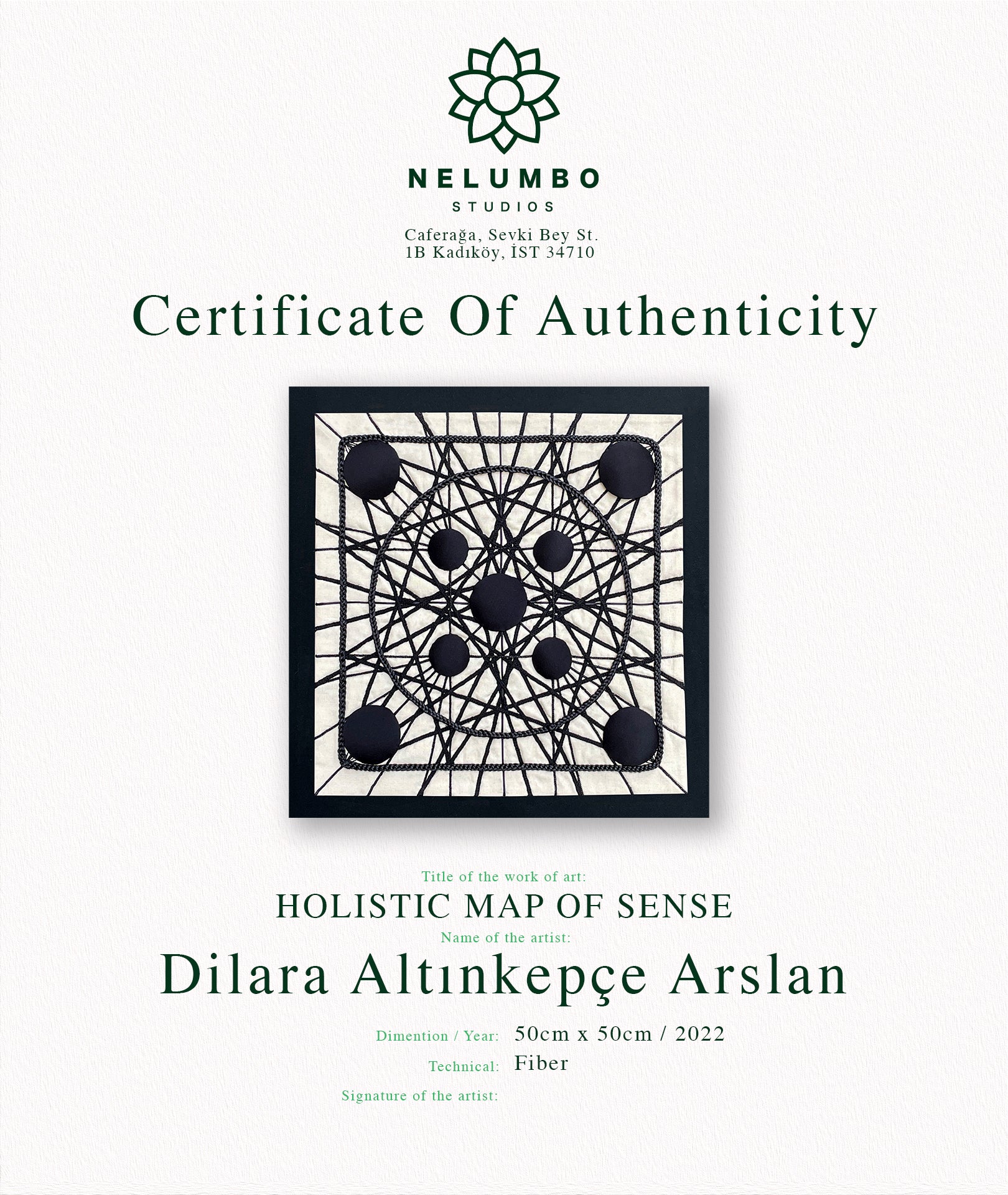 Dilara Altınkepçe Arslan | Holistic Map of Sense
