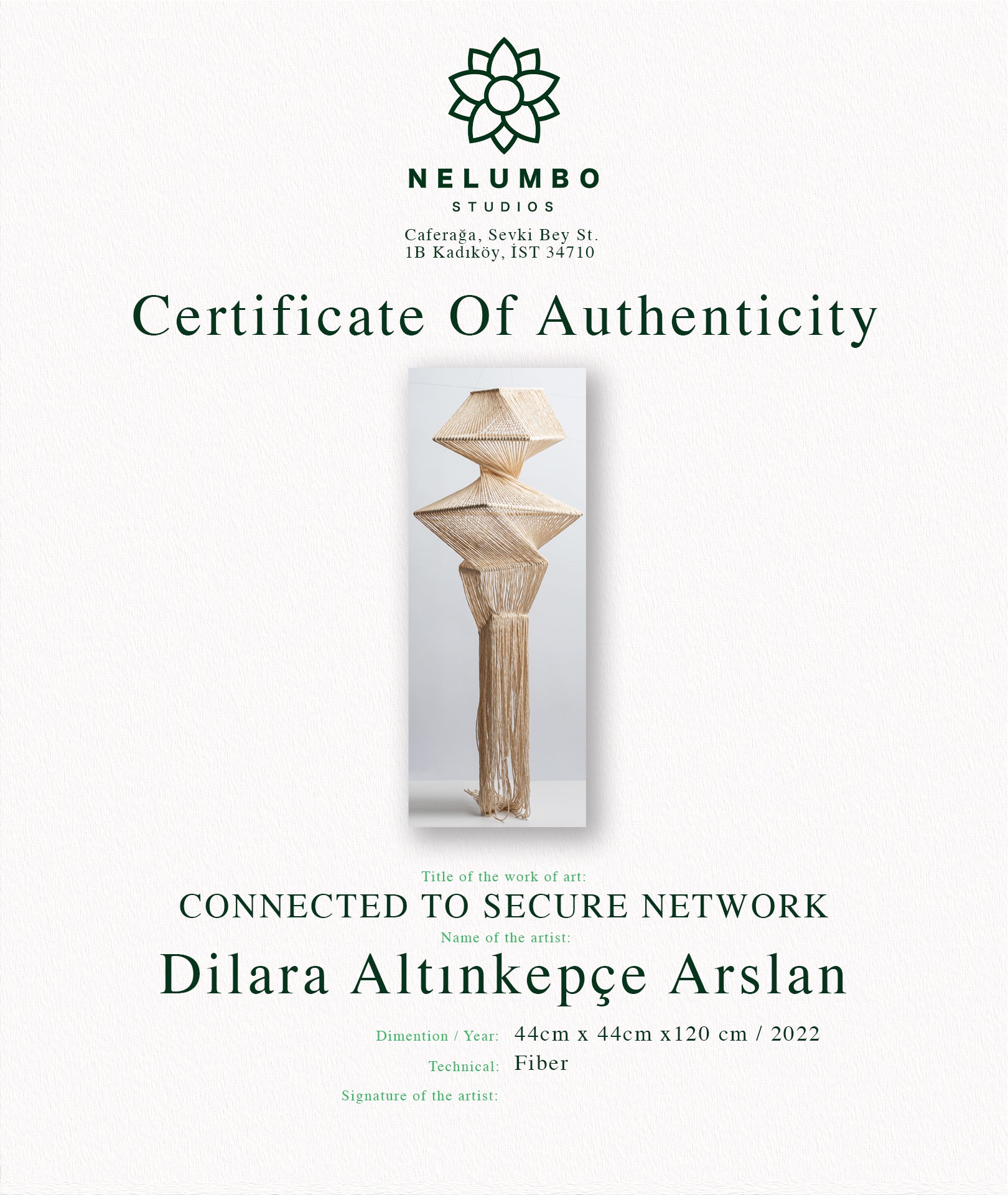 Dilara Altınkepçe Arslan | Connected to secure network