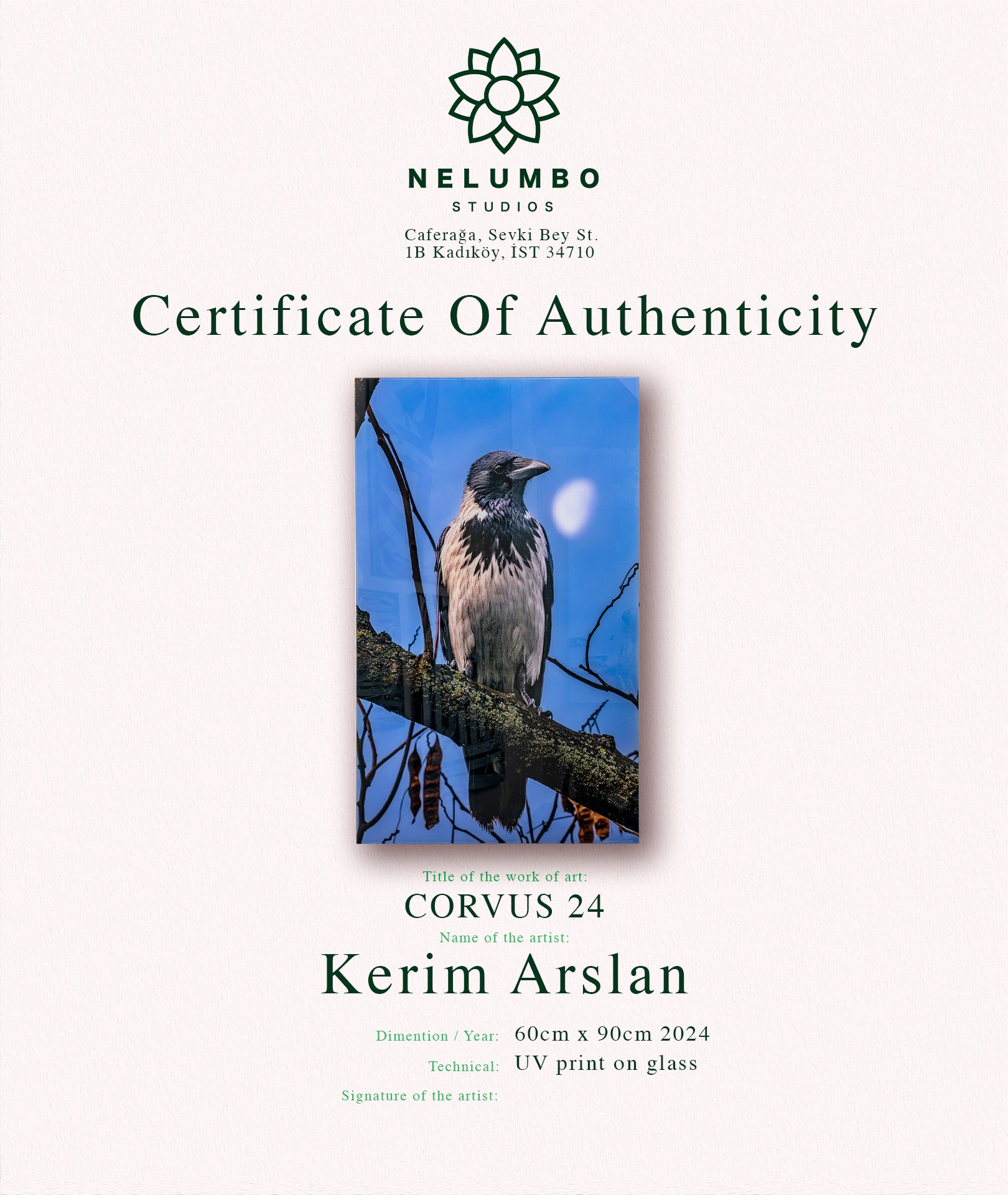 KERİM ARSLAN | Corvus 24