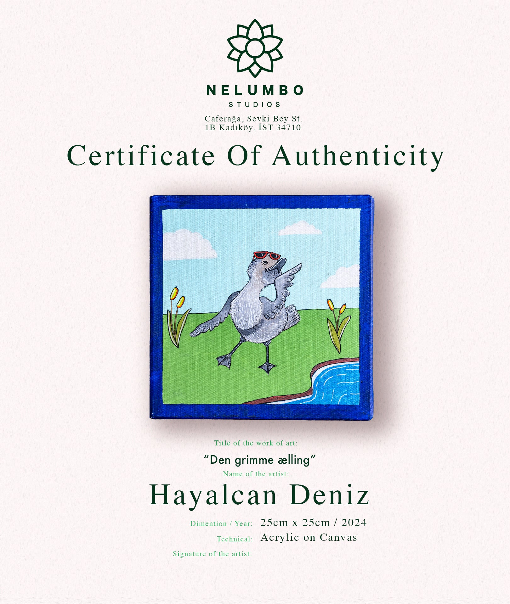 Hayalcan Deniz | “Den grimme ælling”