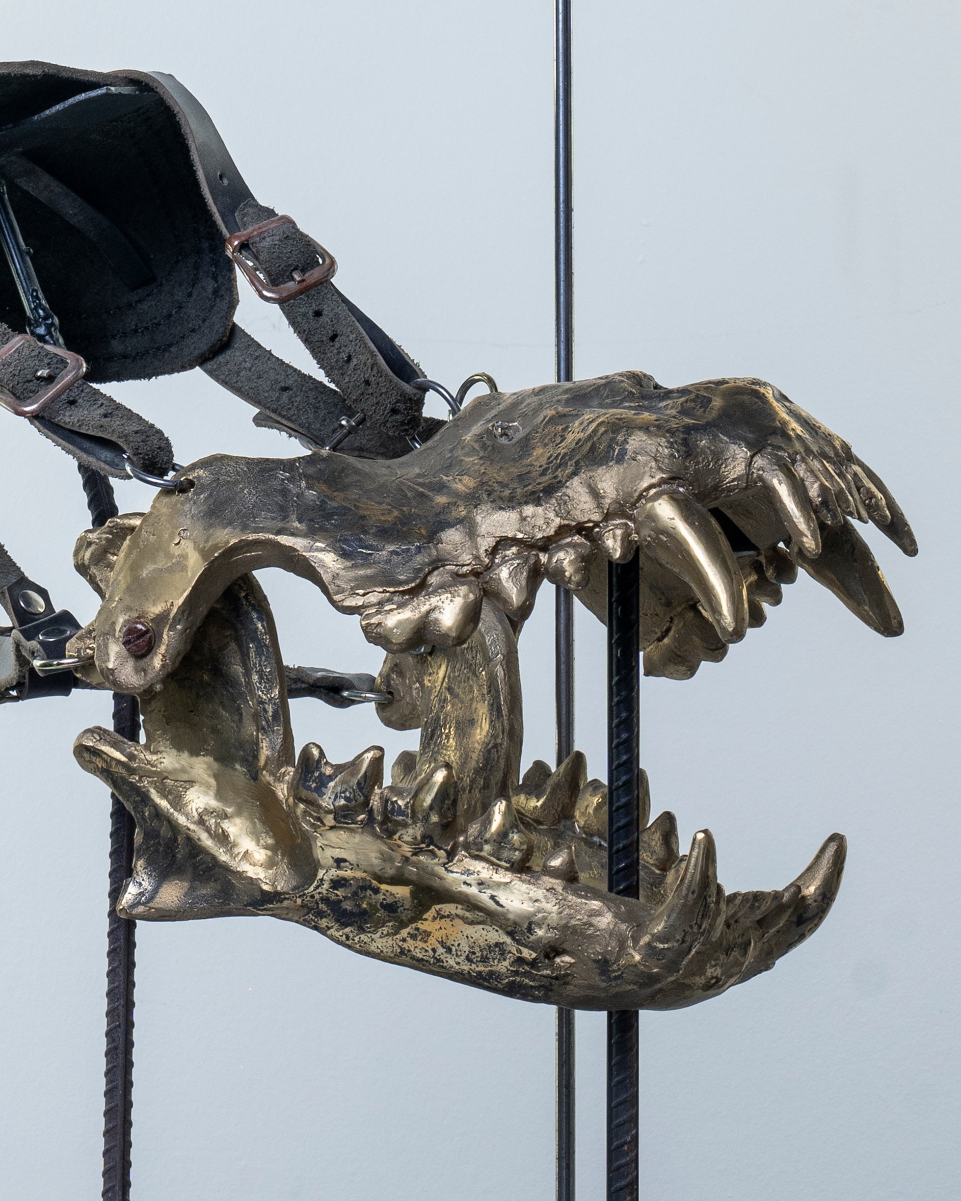 ARİF ÇEKDERİ | Seni Daha İyi Isırabilmek İçin No:2 (Sırtlan Çenesi) / To Bite You Better No:2 (Hyena Jaw)