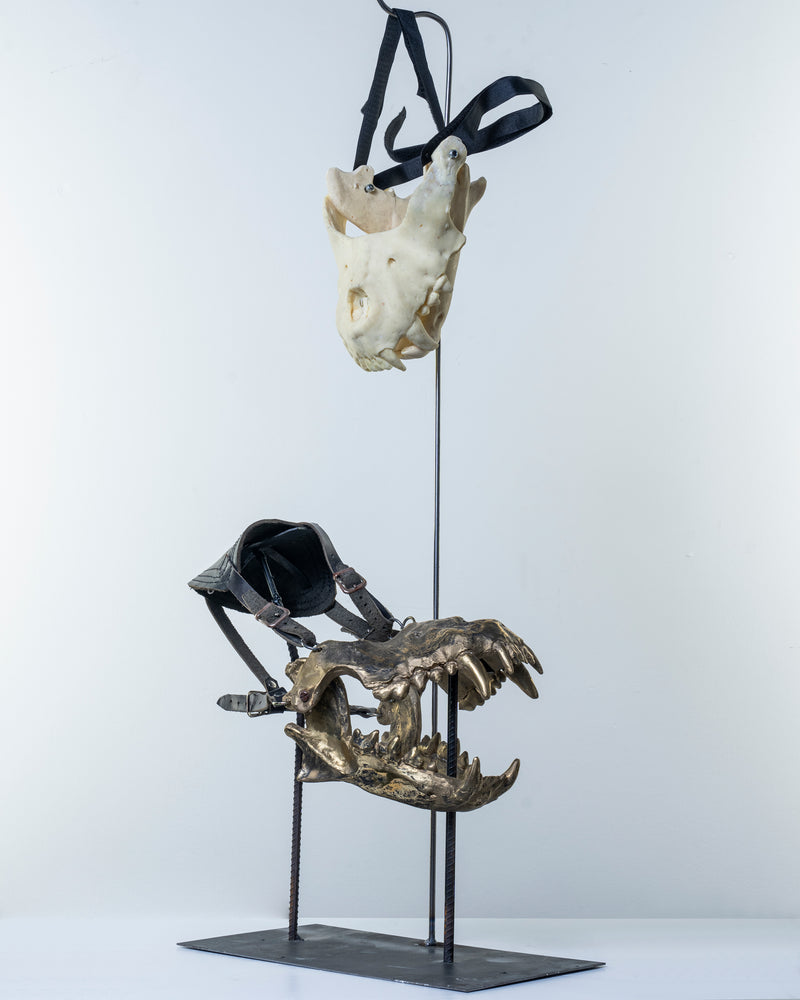 Arif Çekderi | Senİ Daha İyİ Isırabİlmek İçİn No:2 (Sırtlan Çeneİ) / To BIte You Better No:2 (Hyena Jaw)