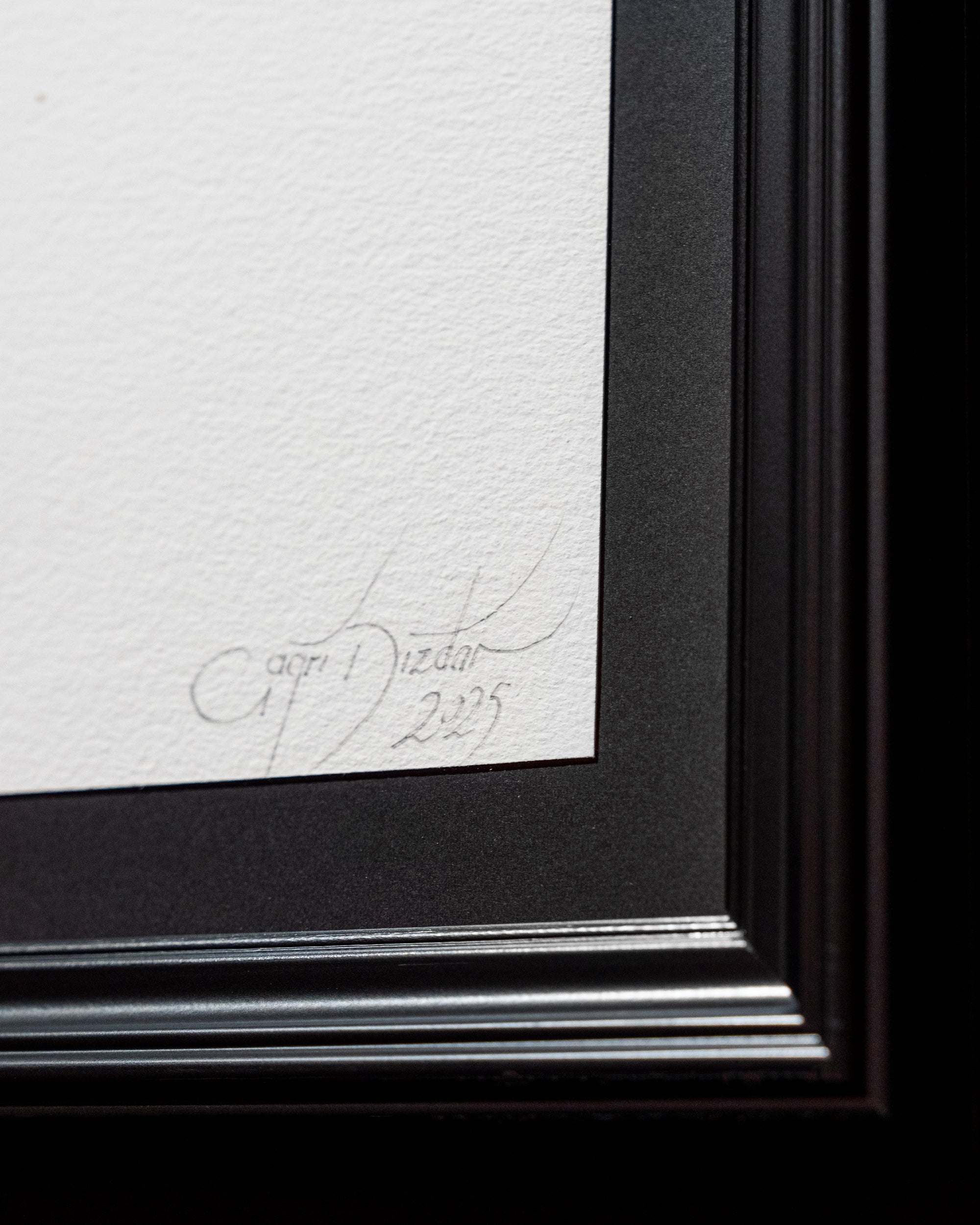 Çağrı Dizdar x Selçuk Pol  | Go Insane Fineart Print