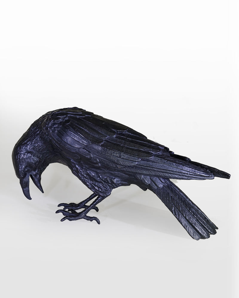 Gönül Nuhoğlu - Armageddon VI