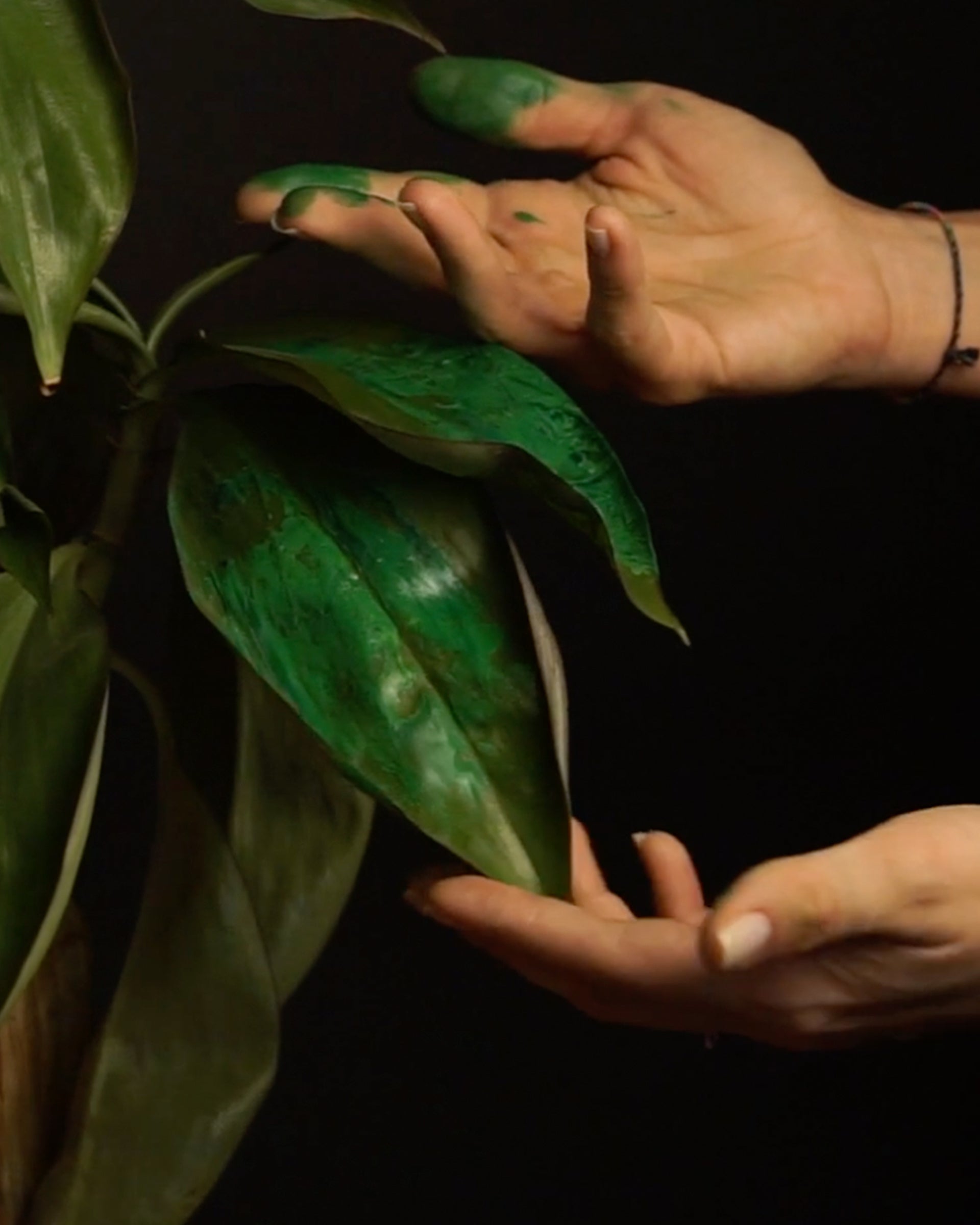 Güliz Kayahan - Ab-ı Hayat