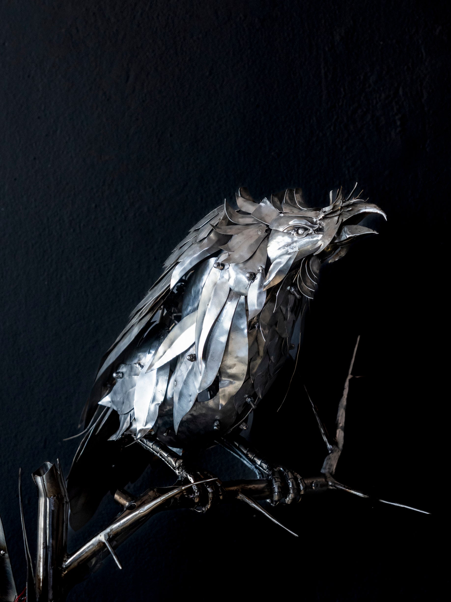 Arif Çekderi | Nevermore