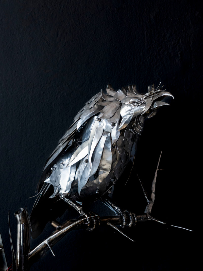 Arif Çekderi | Nevermore