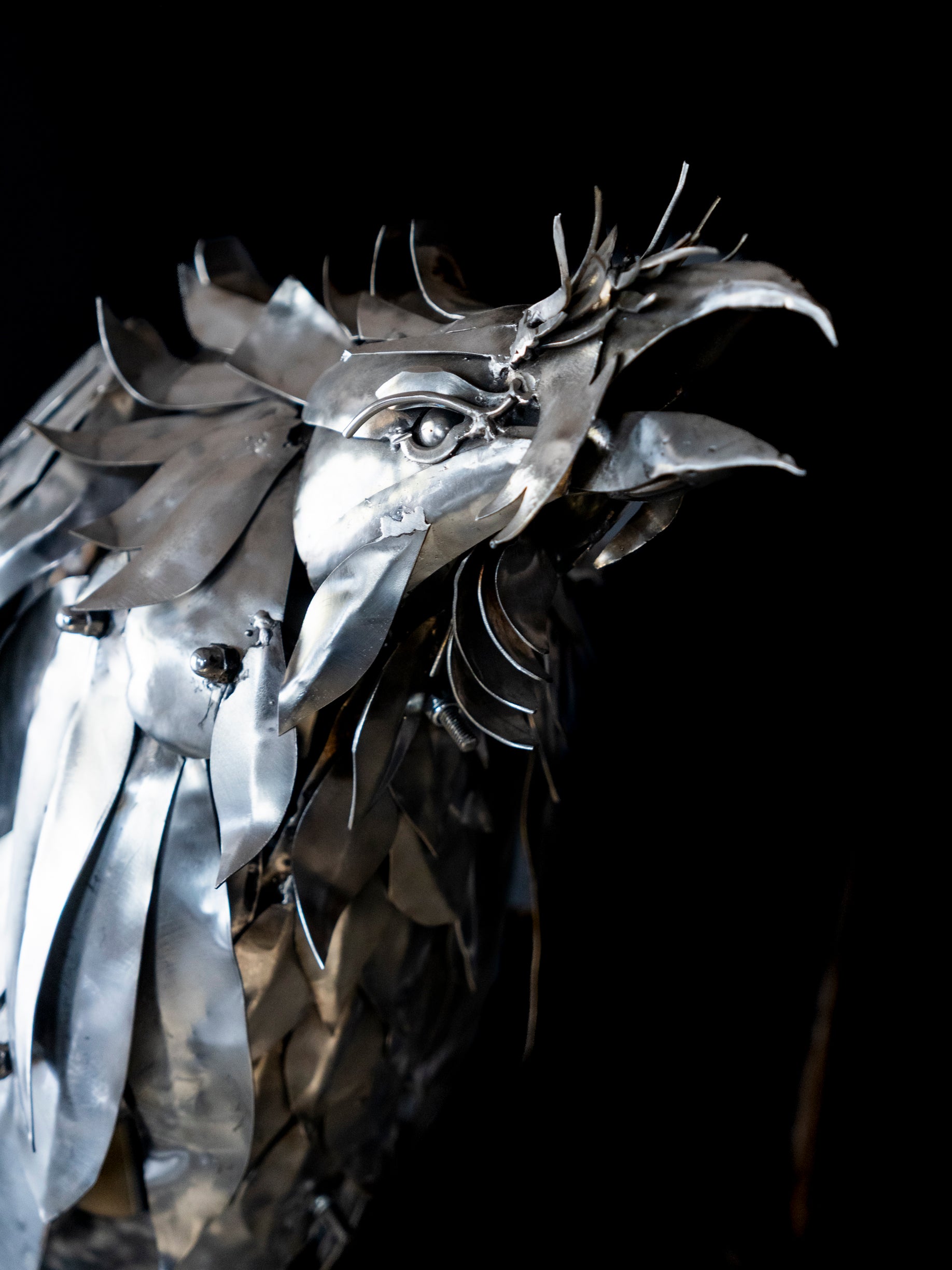 Arif Çekderi | Nevermore